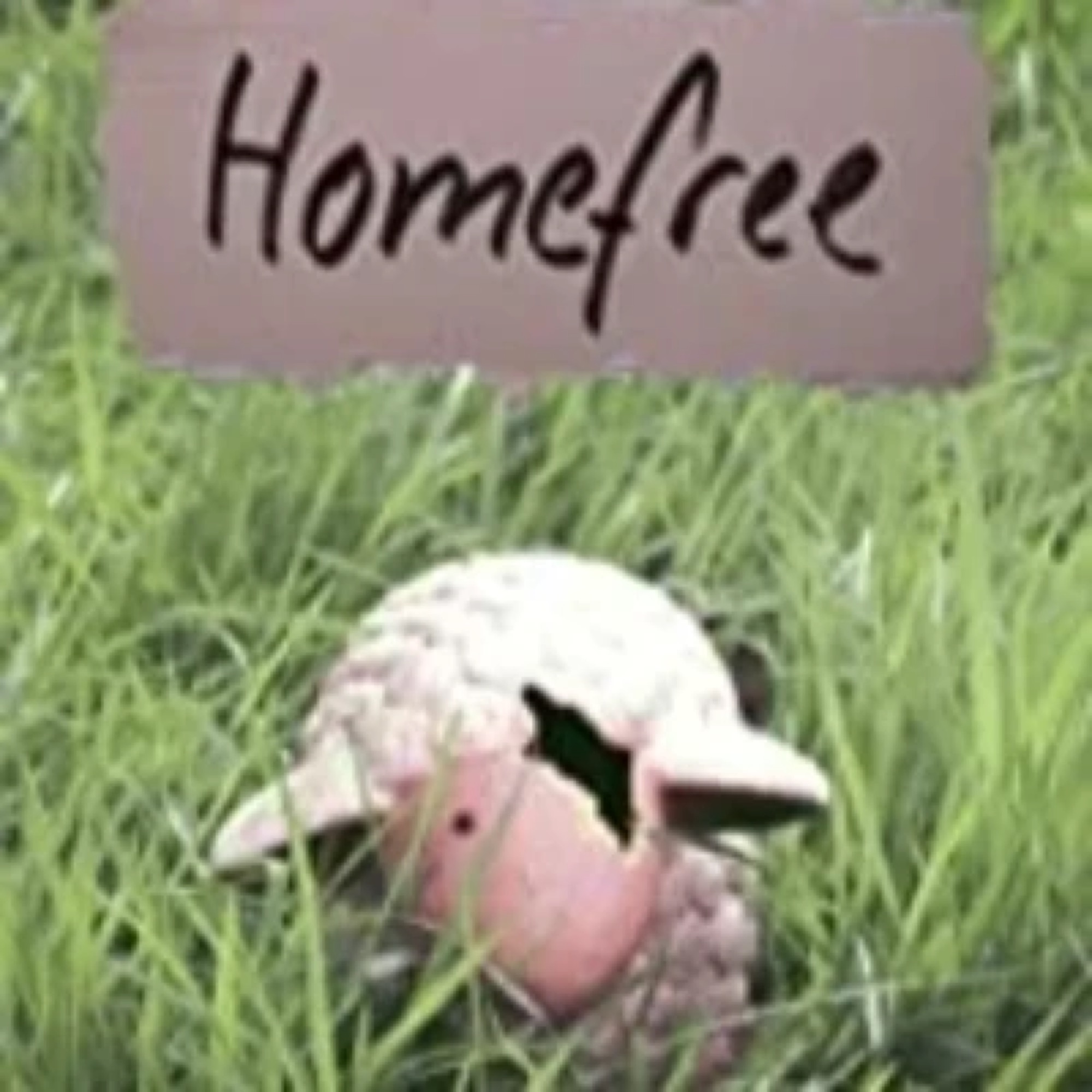 Homefree - Sebastian Brukmann